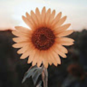 Meet your Posher, Danika